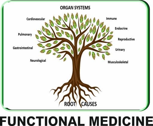 Image representing functional medicine.