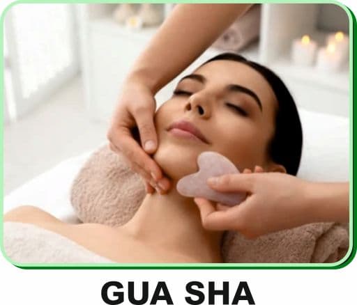 Image representing gua sha.