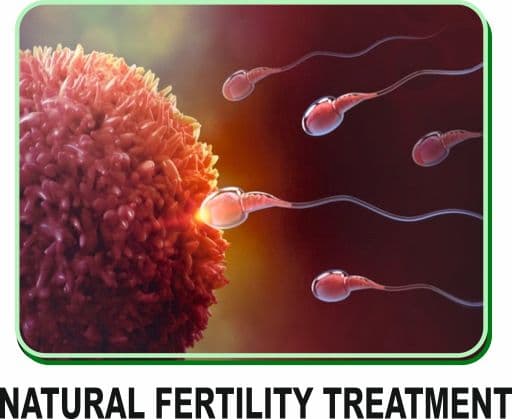 Image representing natural fertility treatment.